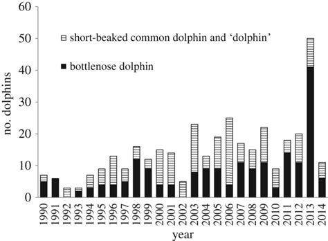 dolphin standings|what is the dolphins record.